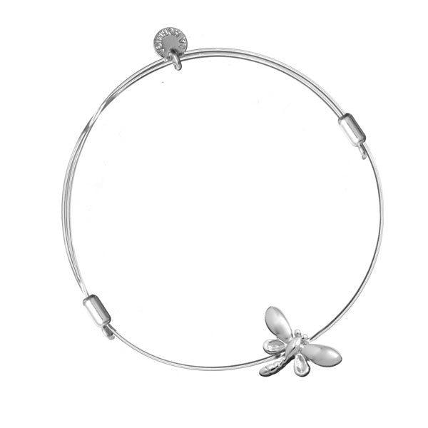 CH06-libellula-1